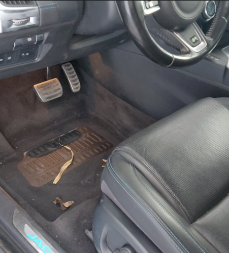 Captura de pantalla 2026-02-13 212855