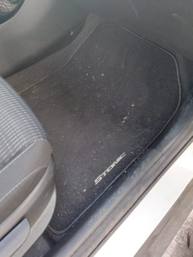 WhatsApp Image 2026-02-16 at 16.11.21 (2)