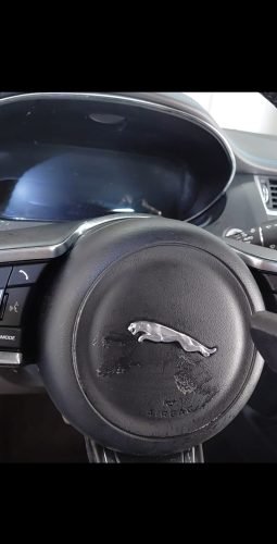 WhatsApp Image 2026-02-16 at 16.14.33 (2)