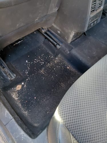 WhatsApp Image 2026-02-23 at 19.42.15